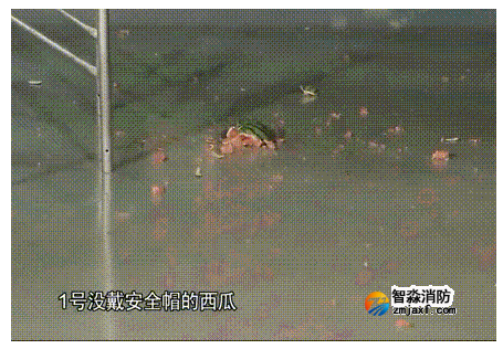 1646624698993157.png image.png